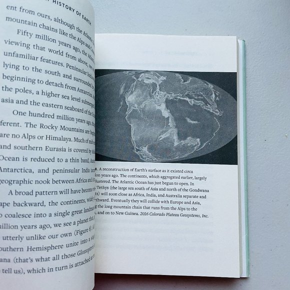 A Brief History of Earth Four Billion Years in Eight Chapters by Andrew H. Knoll - Picture 4 of 6